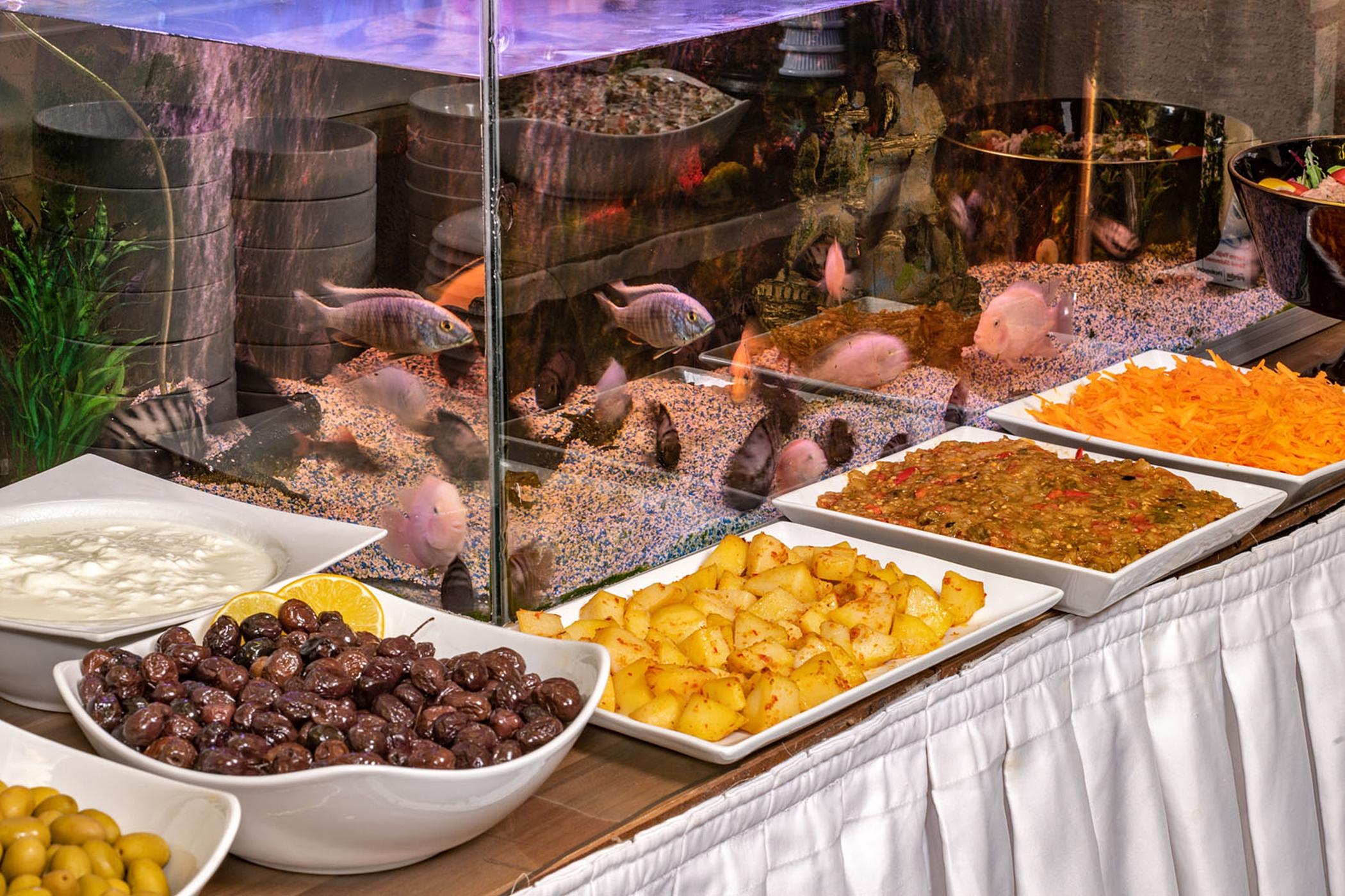Aristocrat Hotel Istanbul Ngoại thất bức ảnh